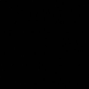 Meet your Posher, Dorcas